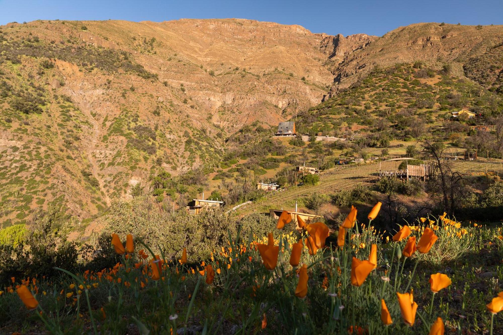 Origen Del Maipo San José de Maipo